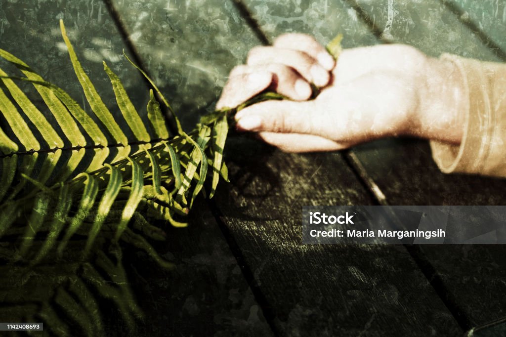 Palm Sunday Palm Sunday Photo Art Concept with young woman laying and her hand holding the palm leaves. Christian spiritual symbol. Agriculture Stock Photo