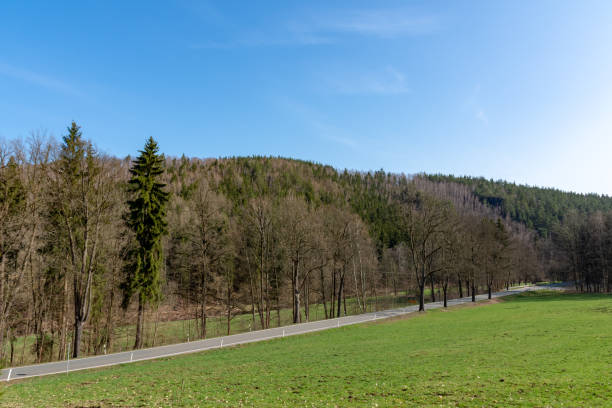 istock Country road through a landscape 1142409590