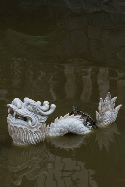 Tortoise on a white dragon statue in a pond.