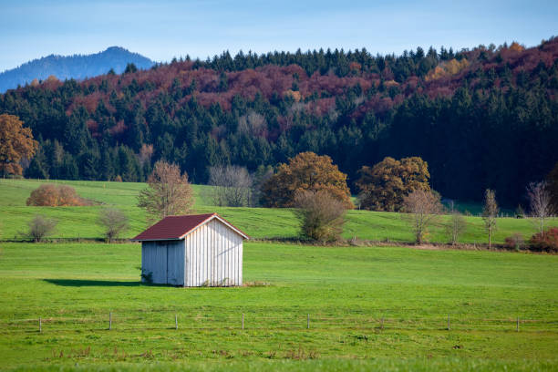 istock autumn scenery at Murnau Bavaria Germany 1142415189