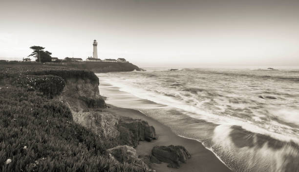 istock California coast with Pigeon Point Lighthouse 1142415826
