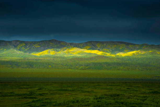 Wild America California, Carrizo Plain, Landscape - Scenery, Mountain, Mountain Range carrizo plain stock pictures, royalty-free photos & images