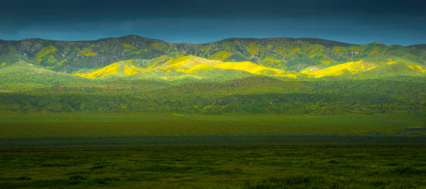 Carrizo Plain National Monument San Luis Obispo - California, San Luis Obispo County, Carrizo Plain, Plain, USA carrizo plain stock pictures, royalty-free photos & images