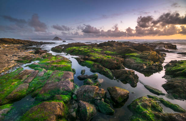 California, Morro Bay, San Luis Obispo - California, USA, Adventure