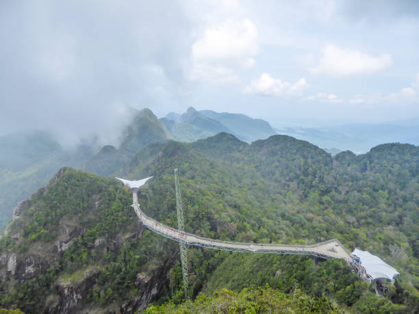 マレーシア-山の吊り橋 - tropical rainforest elevated walkway pulau langkawi malaysia ストックフォトと画像