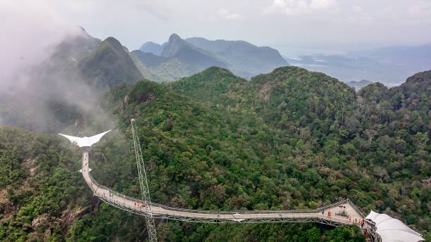 malaisie-pont suspendu dans les montagnes - tropical rainforest elevated walkway pulau langkawi malaysia photos et images de collection