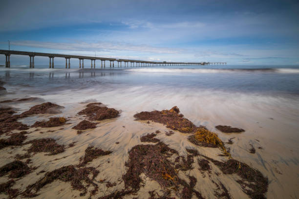 istock Oceanside Fishing Pier 1142417336