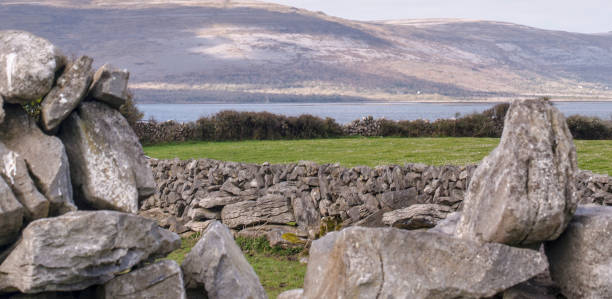 muros de piedra a lo largo de la ruta wild atlantic way, ballyvaughan, condado de clare, irlanda. - county clare the burren ballyvaughan stone fotografías e imágenes de stock