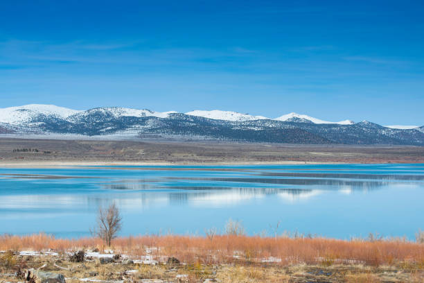 istock Blue Sky at Mono Lake 1142418890