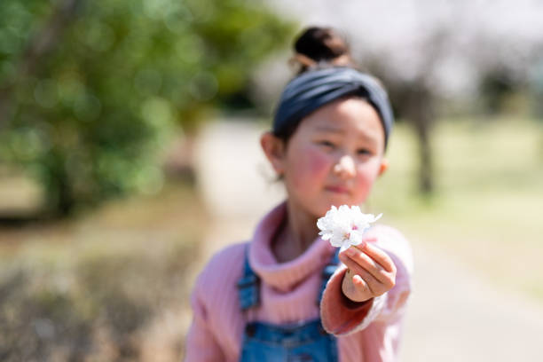 istock Girl offering cherry blossoms 1142418932
