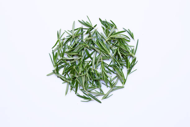 istock Fresh rosemary isolated on white. 1142418988