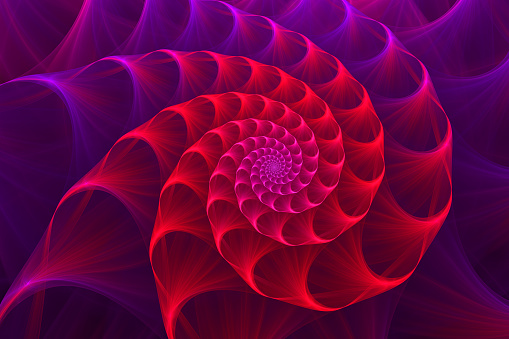 Red Purple Nautilus Abstract Gold Logarithmic Spiral Swirl Fibonacci Pattern Sea Shell Background Fractal Fine Art Digitally Generated Image High Resolution