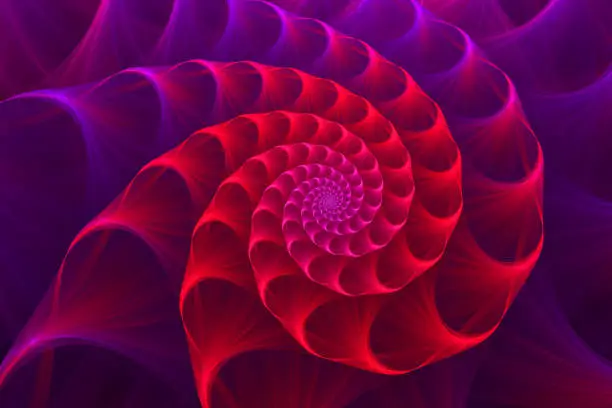 Photo of Red Purple Nautilus Abstract Golden Spiral Swirl Fractal Pattern Sea Shell Background