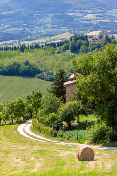 istock Scenery in Marche Italy with straw bale on a field 1142419875