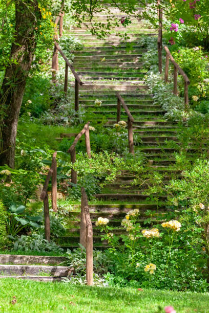 istock some stairs in the green garden 1142419985