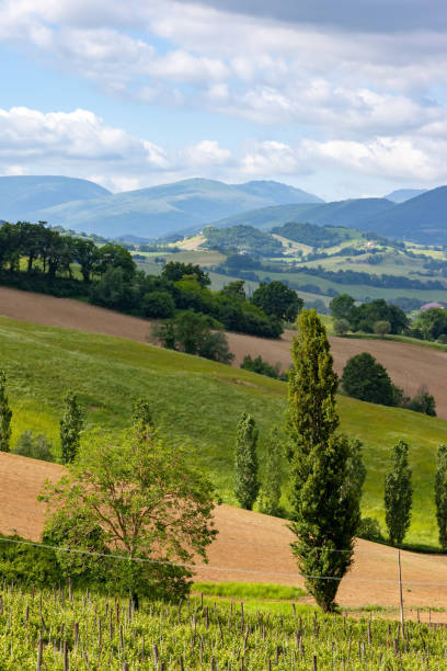 istock nice view in Italy Marche near Camerino 1142420028