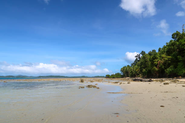 istock Beach view of Port Barton 1142420847