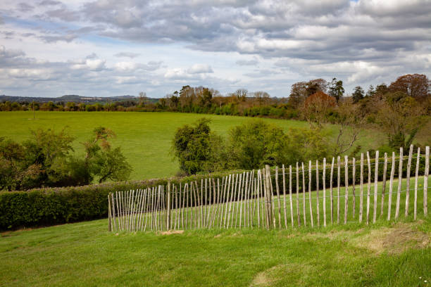 istock green grass meadow fence in Ireland 1142421506