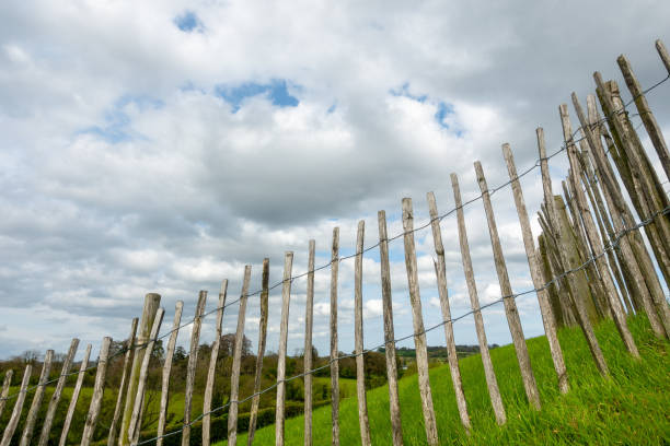 istock green grass meadow fence in Ireland 1142421508