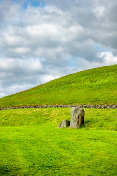 istock green grass meadow background in Ireland 1142421515