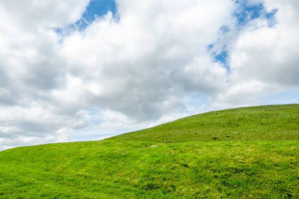 istock green grass meadow background in Ireland 1142421516