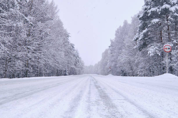 istock Countryside road covered white clear snow 1142422846