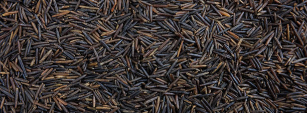 istock Black wild rice seeds full frame background, banner 1142423033