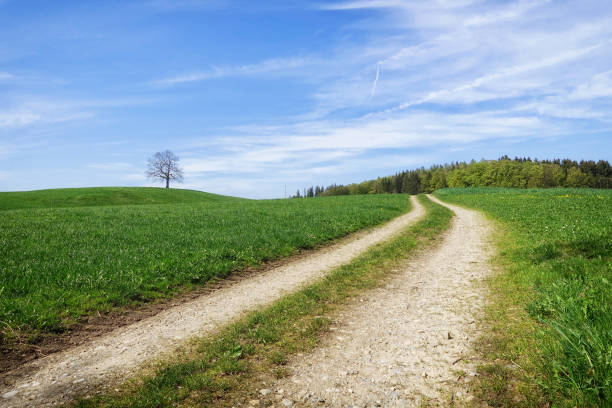istock path in a green meadow nature scenery landscape 1142423174