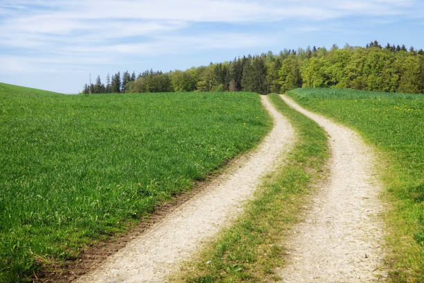 istock path in a green meadow nature scenery landscape 1142423175