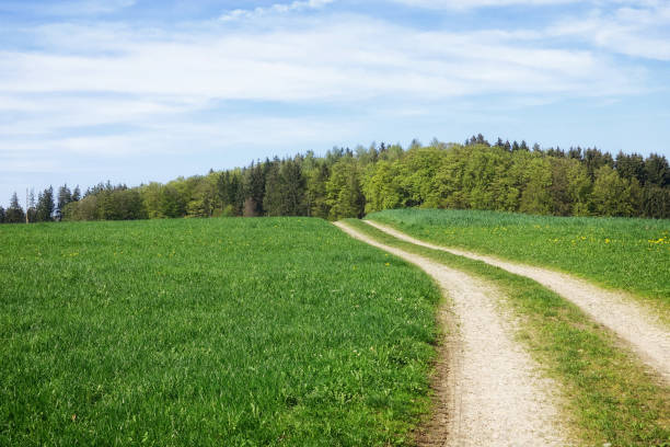 istock path in a green meadow nature scenery landscape 1142423177