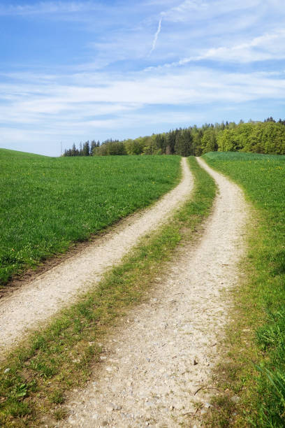 istock path in a green meadow nature scenery landscape 1142423198