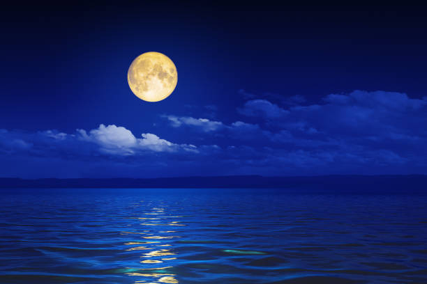 istock wide ocean waves horizon moon night background 1142423229