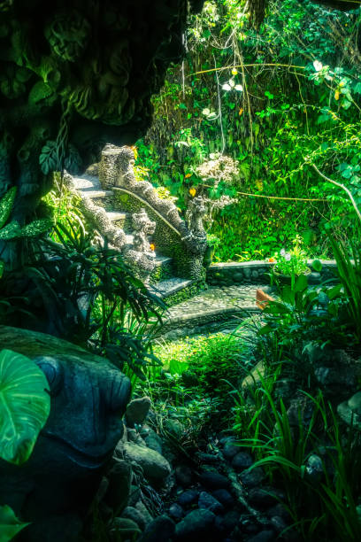 istock Garden Bali Indonesia 1142423303