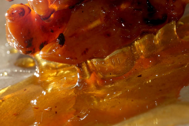 istock Honey, Oh My Honey! 1142425525