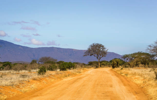 istock Safari road in Kenya 1142427781