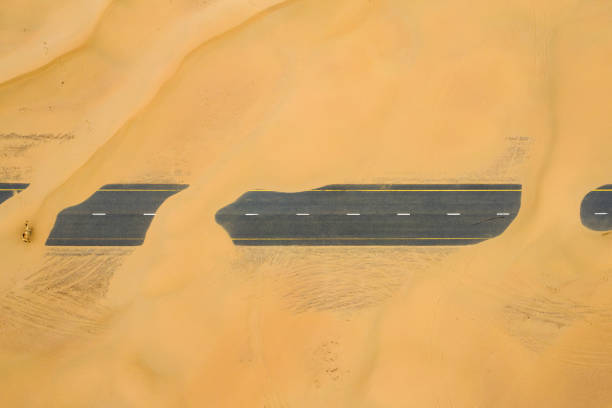 view from above, stunning aerial view of a camel crossing a deserted road covered by sand dunes. empty road that run through the dubai desert during sunset. dubai, united arab emirates. - wild abandon imagens e fotografias de stock