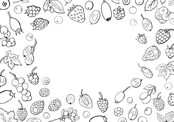 テキストのためのスペースとベリーの異なる種類の大きなコレクション。 - gooseberry fruit berry backgrounds点のイラスト素材／クリップアート素材／マンガ素材／アイコン素材
