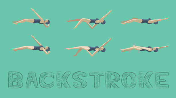 ilustraciones, imágenes clip art, dibujos animados e iconos de stock de estilo de natación backstroke secuencia de movimiento mujer animación conjunto - swimming exercising women back