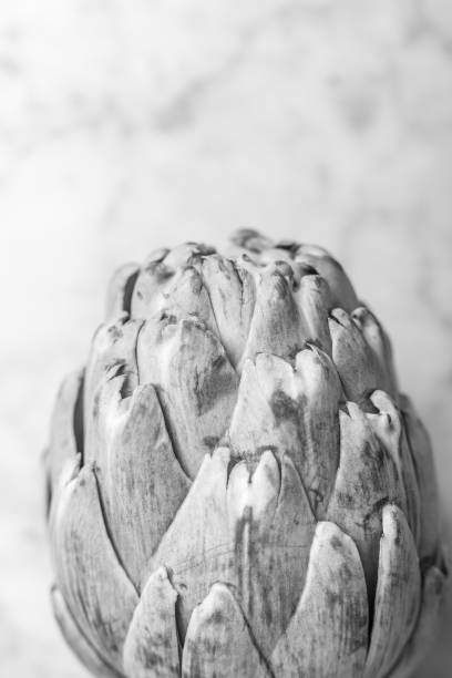 Texture of ripe artichokes