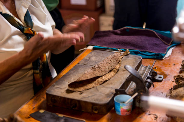 istock Woman making cigar - Trinidad - Cuba 1142435659