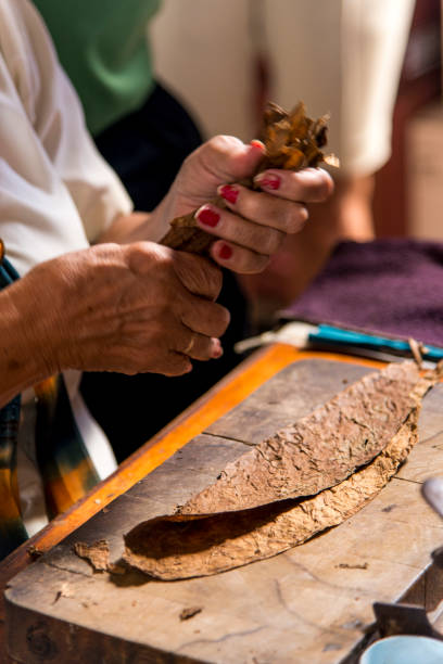 istock Woman making cigar - Trinidad - Cuba 1142435667