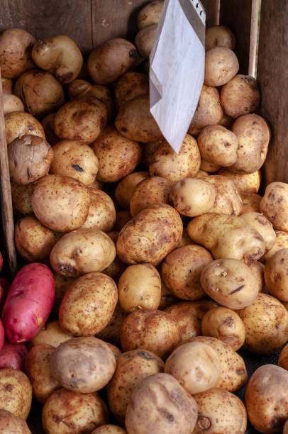 istock Bushel of potatoes 1142436741