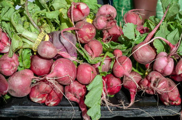 istock Bunches of radishes 1142436797