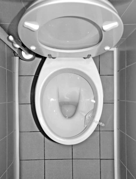 istock Ceramic flush toilet bowl indoors, top view 1142436860