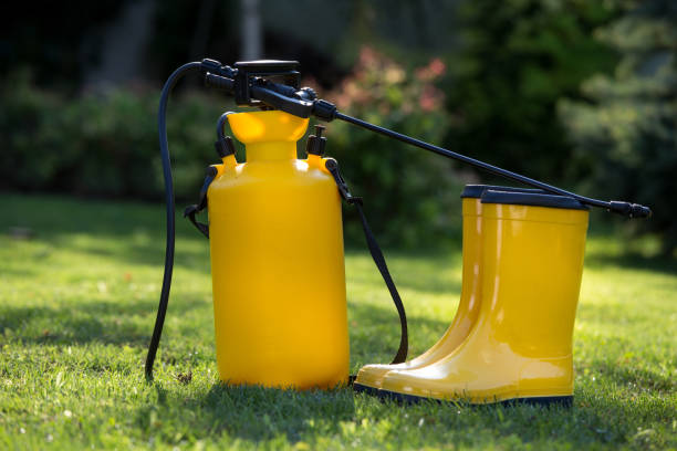 istock Gardening equipment on lawn 1142438646