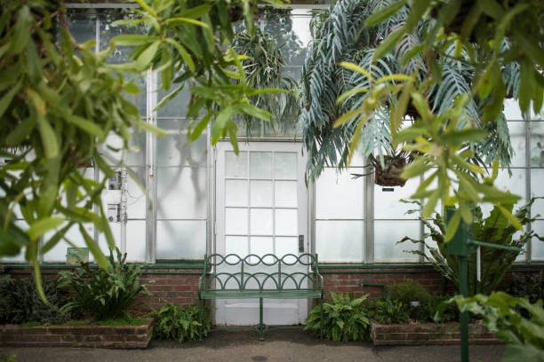 bellissimo giardino tropicale in serra - fountain landscaped ornamental garden flower bed foto e immagini stock