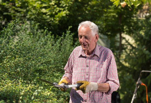 istock Senior man working in garden 1142445659