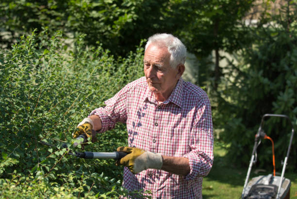 istock Senior man working in garden 1142445669