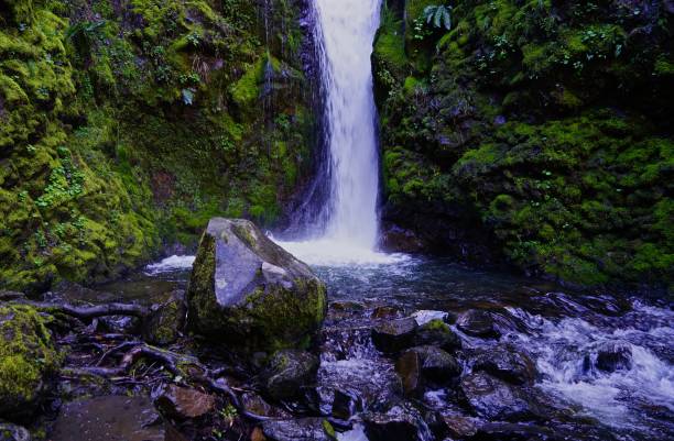 istock Oregon's Warren Creek Rocks 1142445918