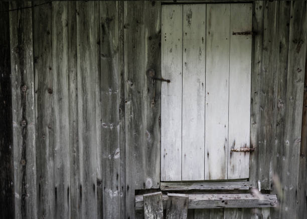 istock lost place in a norway forest 1142450035